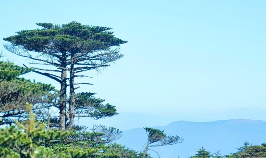 Hiking Adventures on Dali Cangshan Mountain