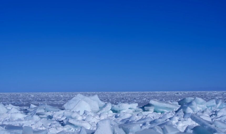 How to Explore Qinghai Lake Like a Local