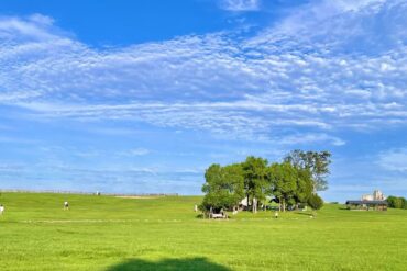 Open green park with a cluster of trees and a small shelter on the right under a bright blue sky with scattered clouds.Mulan Grassland Area,Wuhan,Hubei ,Chinatravel