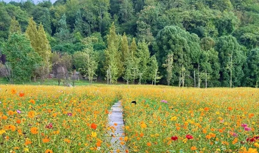 Beginner’s Guide to Enjoying Guiyang Huaxi Scenic Area