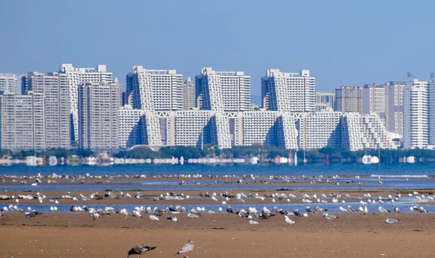 3 must-know tips for Qinhuangdao Pigeon Nest Park visitors