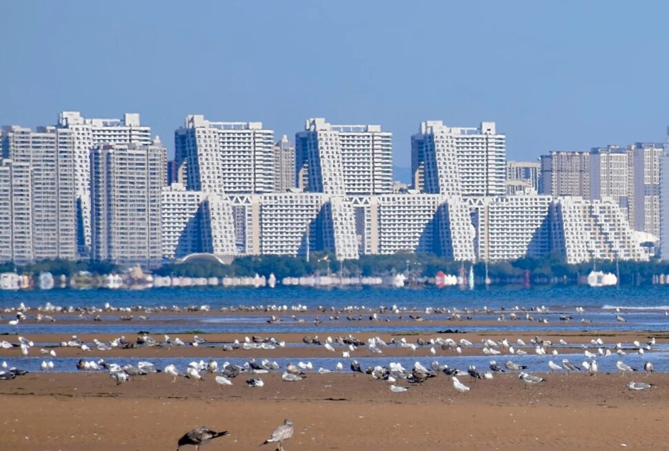 City skyline with tall white apartment buildings along a shoreline, seagulls on the sandy beach in the foreground.Pigeon Nest Park,Qinhuangdao,Hebei,Chinatravel