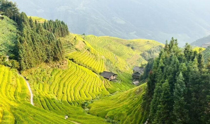 Best Routes and Tips for Visiting Longji Rice Terraces from Guilin