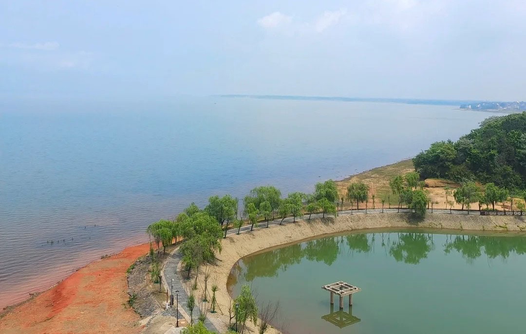 A curved shoreline with a green pond, lined by trees and a walking path, meeting a calm sea in the distance.Poyang Lake National Wetland Park,Shangrao,Jiangxi,Chinatravel