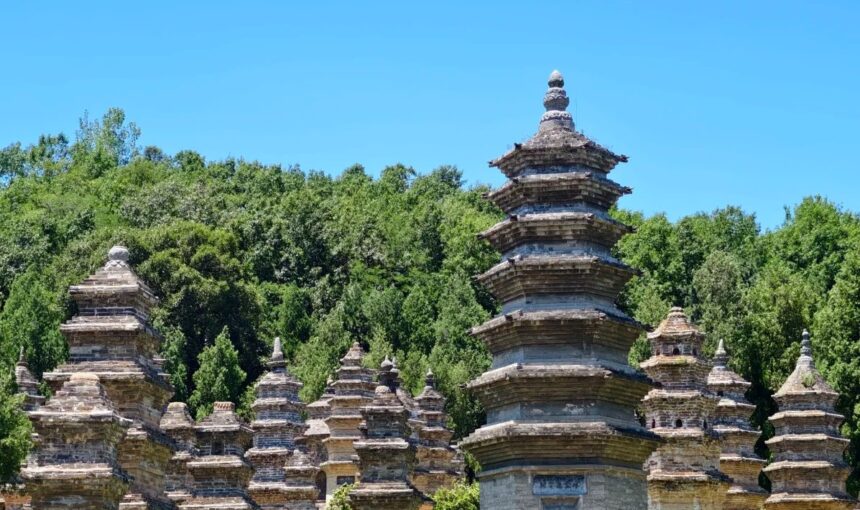 How to Visit Shaolin Temple Pagoda Forest with Expert Tips