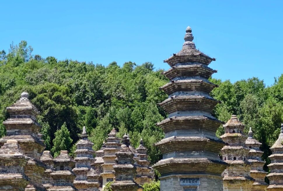 Group of ancient stone pagodas in a leafy grove under a clear blue sky. (informative)Shaolin Temple Pagoda Forest,Shaolin & Songshan Area,Henan,Chinatravel
