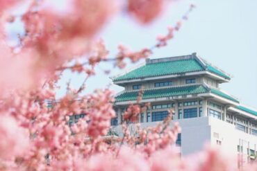 Modern building with green tiled roof framed by pink cherry blossoms in the foreground.Wuhan University,Wuhan,Hubei ,Chinatravel