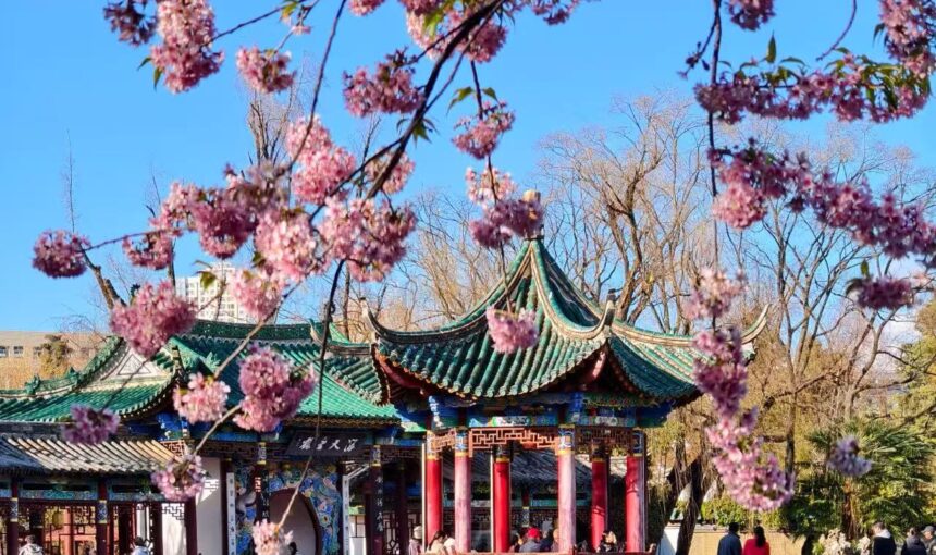 Kunming Green Lake Park Travel Guide for Families and Friends