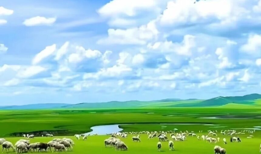 Hulunbuir Grassland Activities and Local Experiences Guide