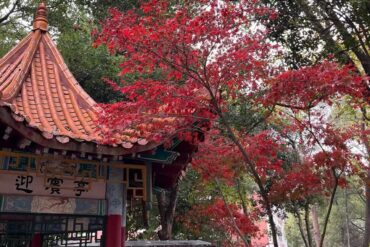 Xingsha Ecological Park,Changsha,Hunan ,Chinatravel