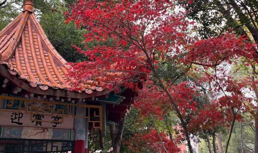 How to Enjoy Walking and Running at Changsha Xingsha Ecological Park