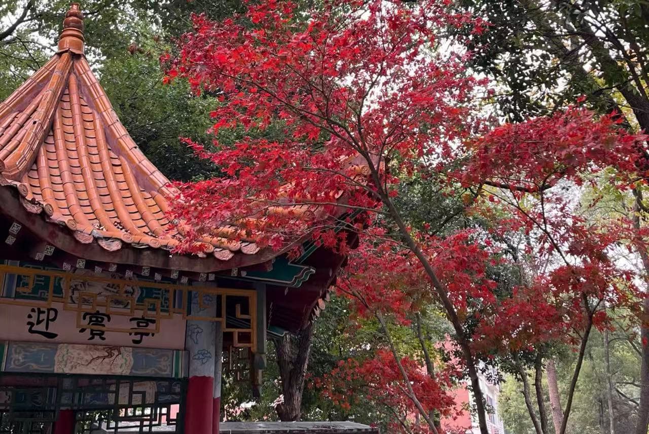 Xingsha Ecological Park,Changsha,Hunan ,Chinatravel