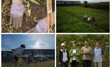 Dali Wellness Retreat,Dali,Chinatour Collage of volunteers working on a farm: top-left shows gloved hands planting a seedling in soil; top-right shows people tending crops in a green field near a building; bottom-left shows a person in a field with tall grass and a blue sky; bottom-right shows four volunteers standing together, holding bowls and smiling.