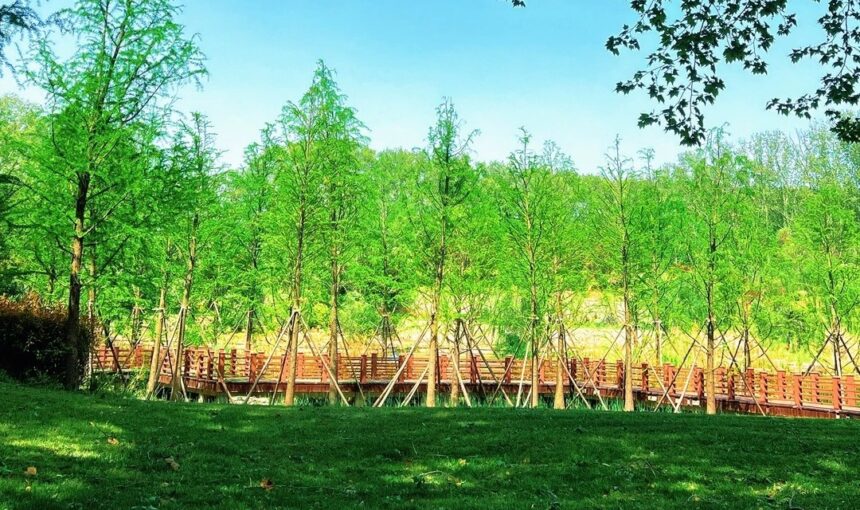 Zhengzhou Forest Park: Tips for Getting There and Exploring