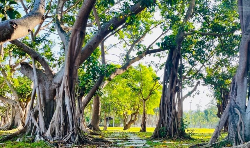 Discover Haikou Evergreen Park: Complete Visitor’s Guide
