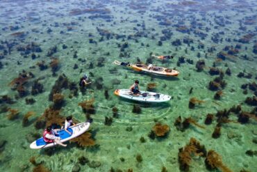 Weizhou Island,Beiahi,Guangxi,Chinaexplorertour Group of people on paddleboards and swimming in clear tropical water with seaweed and rocky bottom.