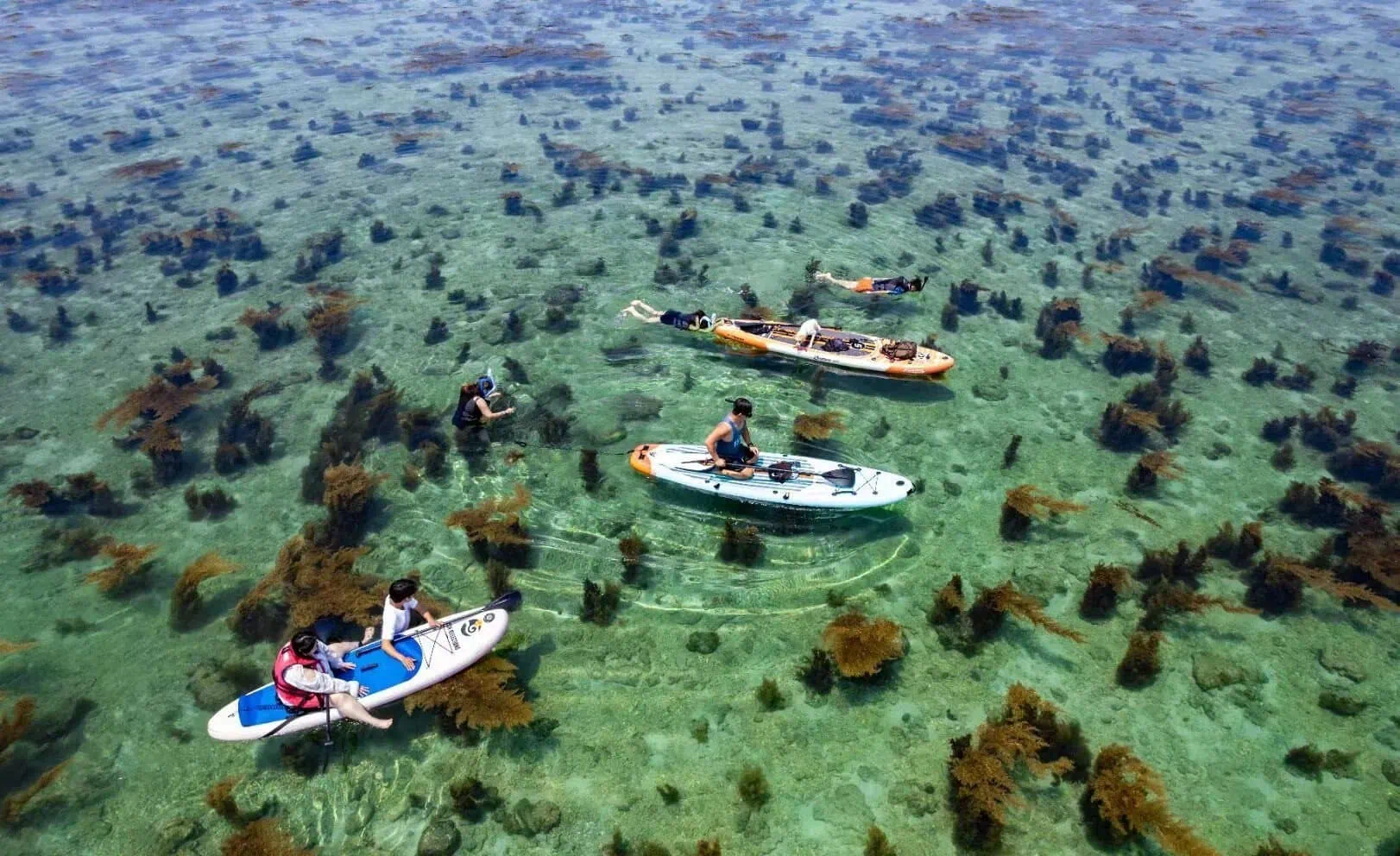 Weizhou Island,Beiahi,Guangxi,Chinaexplorertour Group of people on paddleboards and swimming in clear tropical water with seaweed and rocky bottom.