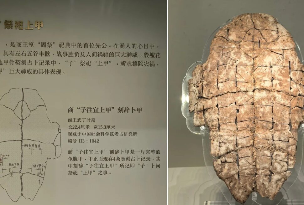 Anyang Museum,Anyang,Henan,Chinaexplorertour Museum exhibit panel explaining the 'Shang Jia' ritual with a diagram of a tortoise shell; adjacent cracked ancient relic on display.