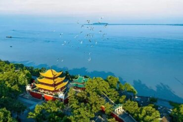 Dongting Lake,Yueyang,Hunan,Chinaexplorertour Aerial view of a yellow-roofed Chinese pagoda by a tree-lined lake with birds flying overhead.
