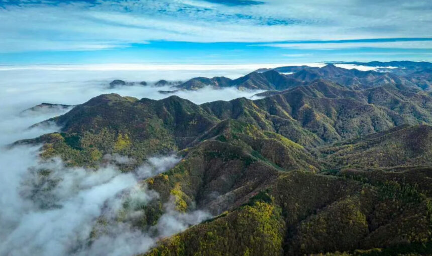 Traveling to Liupan Mountain What Every Visitor Should Know