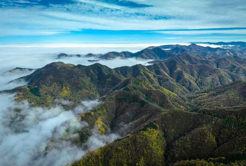 Liupan Mountain,Guyuan,Ningxia,Chinatravel
