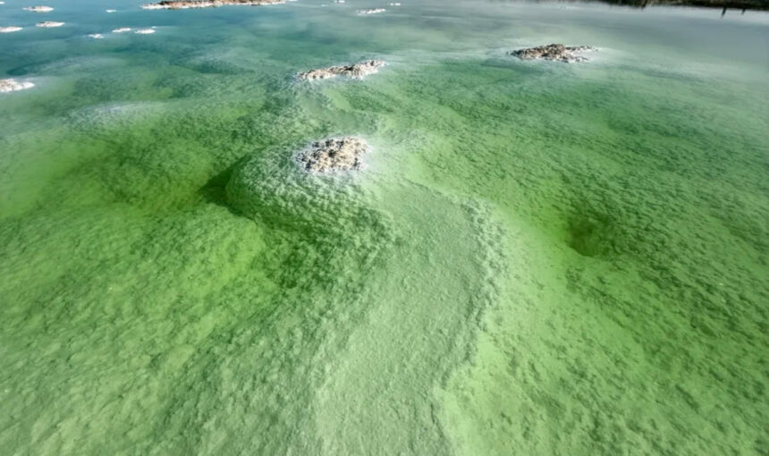 Step-by-Step Guide to Visiting Qarhan Salt Lake