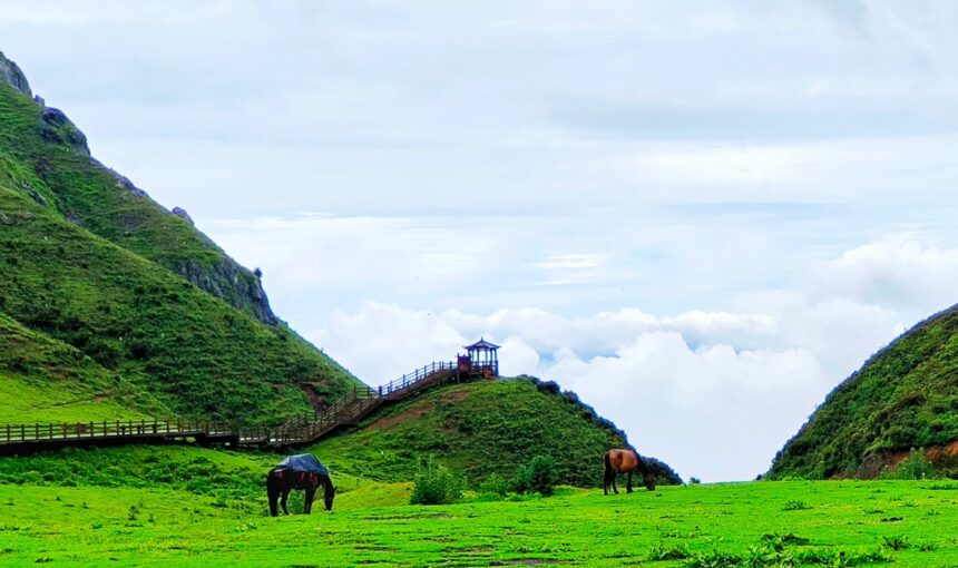 How to Plan the Perfect Trip to Liupanshui Wumeng Prairie