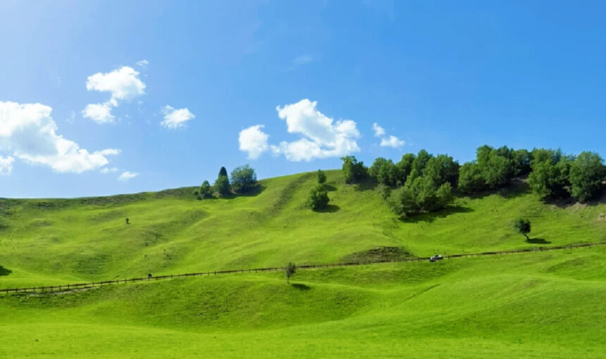 Narati Grassland Attractions and Travel Recommendations