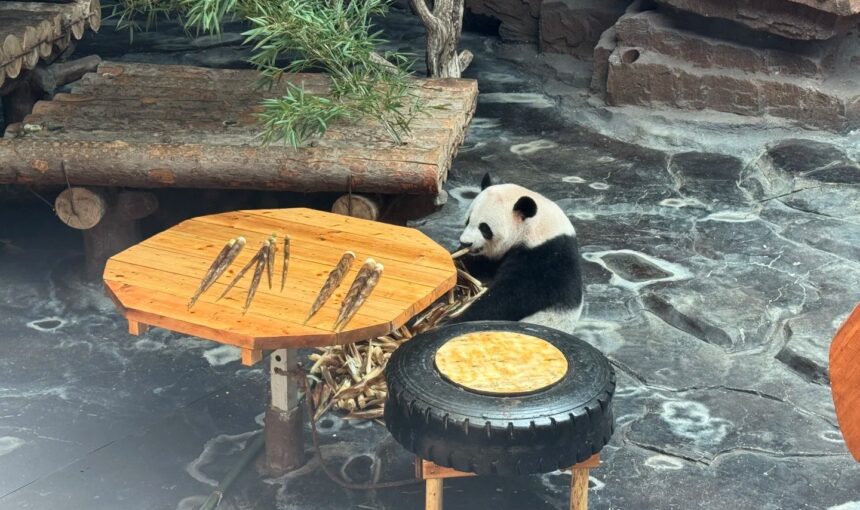 Jinan Wildlife World The Ultimate Family-Friendly Experience