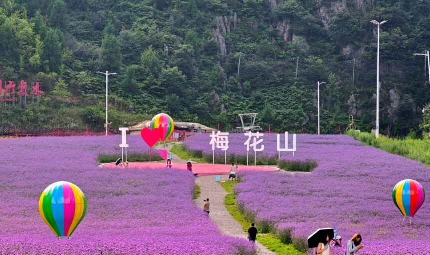 Top Family-Friendly Activities in Liupanshui Meihua Mountain Tourist Scenic Area