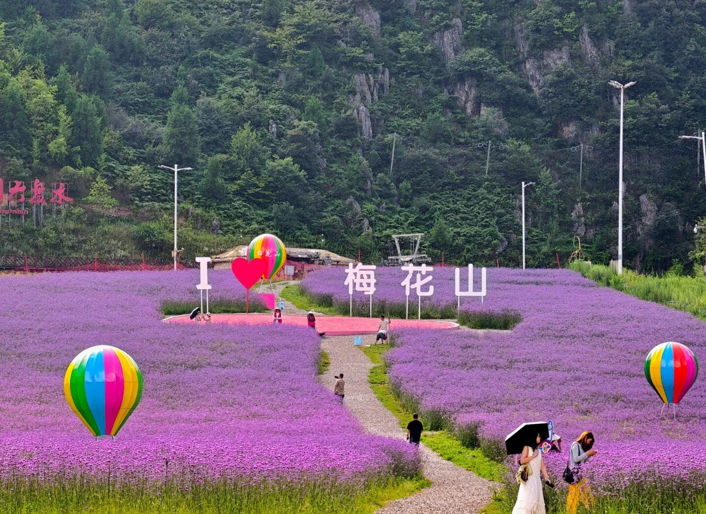 Vast field of purple flowers with a winding path, colorful balloons, and visitors near a sign reading 'I ❤️ 梅花山' against a forested hill background.Meihua Mountain,Liupanshui,Guizhou