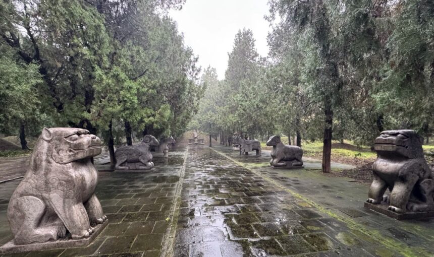 Qufu Confucius Forest Cemetery Must-See Highlights and Advice