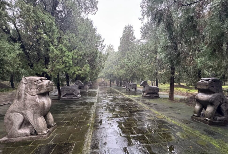 Confucius Forest Cemetery,Qufu,Chinatour Ancient stone statues of mythical creatures along a wet, tree-lined pathway in China.