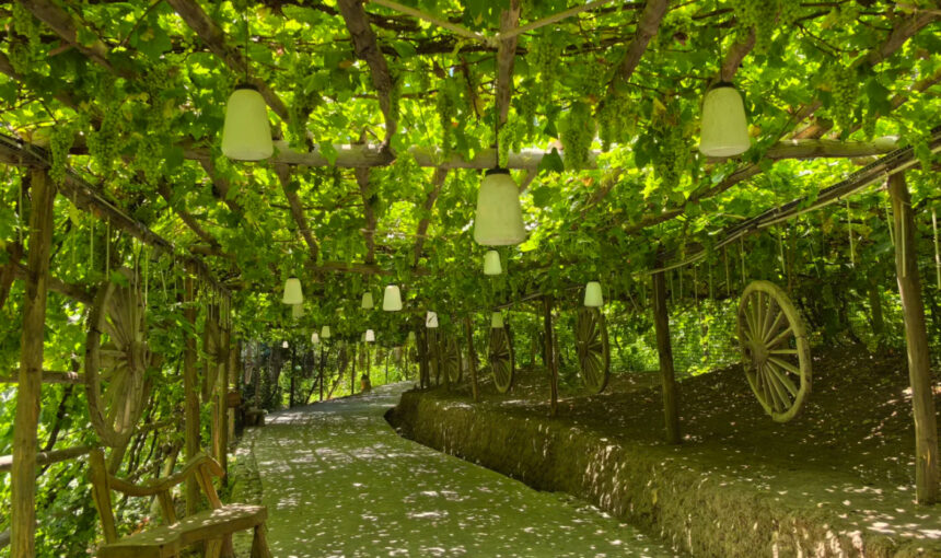 Your Essential Guide to Visiting Turpan Grape Valley