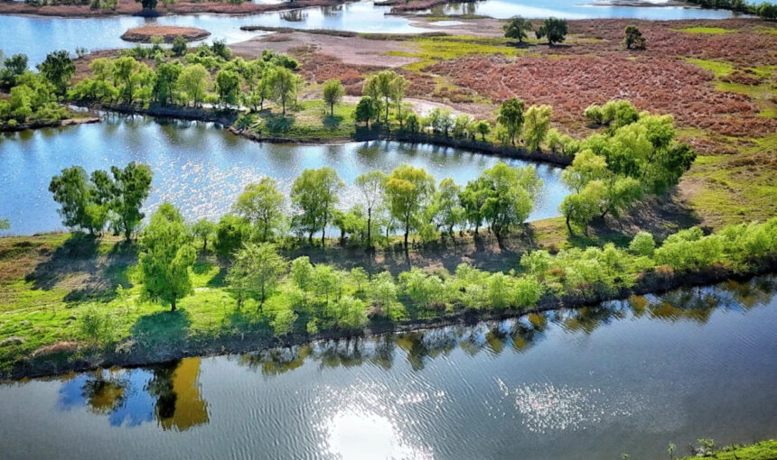 Why Liaohe Delta Wetland Park Is a Must-Visit in 2026