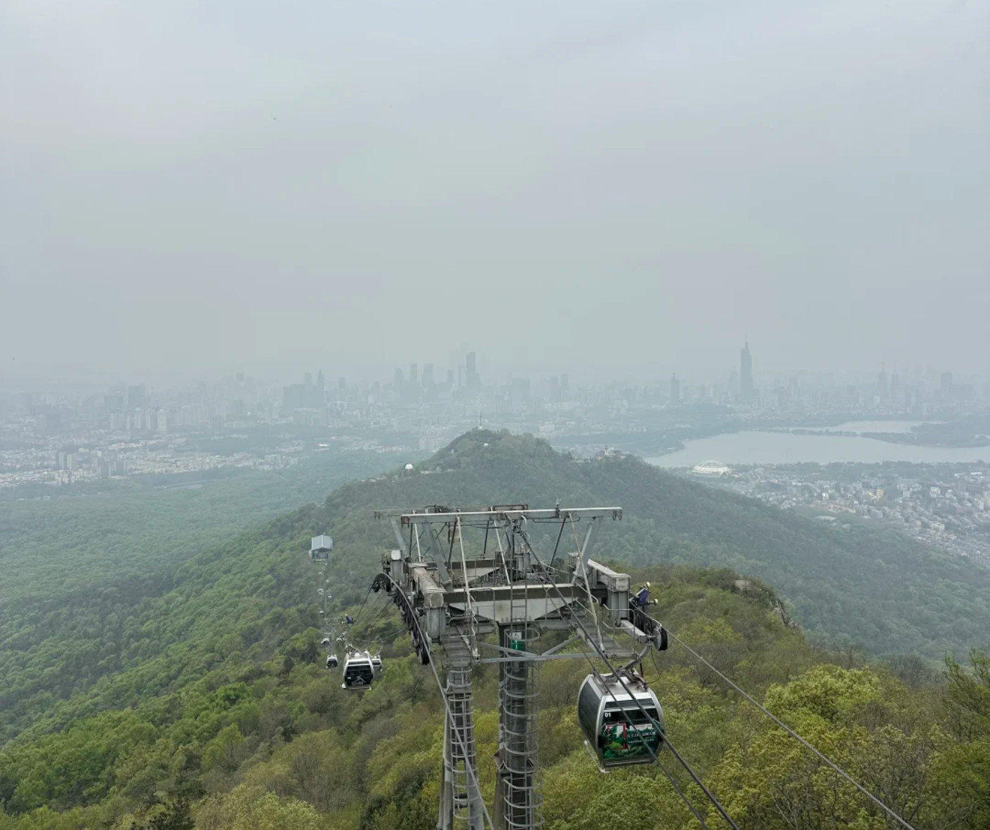 Beginner's Guide to Hiking Purple Mountain in Nanjing
