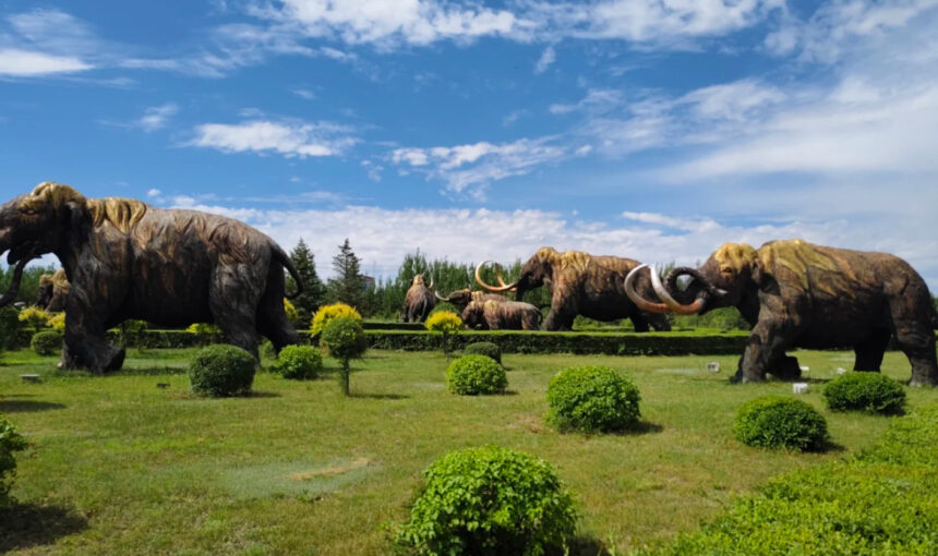 Manzhouli Mammoth Park Itinerary Guide for 2026 Travelers