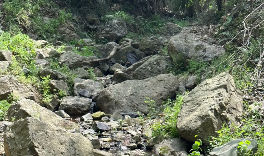 Beginner’s Guide to Hiking Purple Mountain in Nanjing