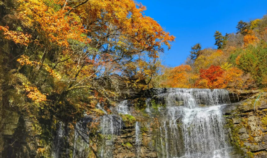 Liping Forest Park in Hanzhong: recommended itinerary and insider tips