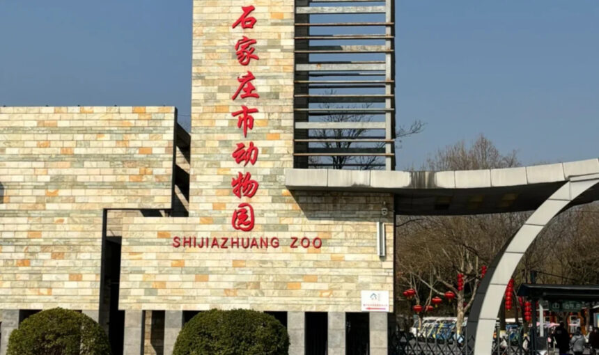 Shijiazhuang Zoo Ticket Deals Inspired by Local Experts