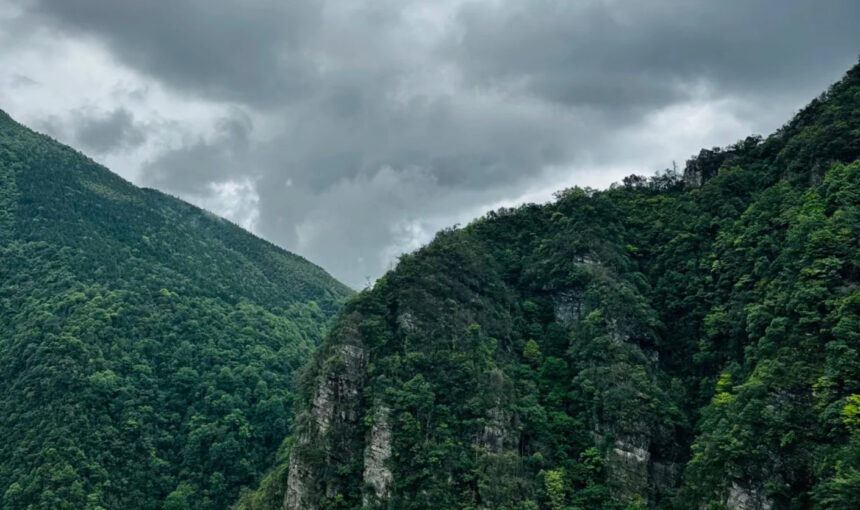 Jinggangshan National Park Hiking Guide for Outdoor Enthusiasts