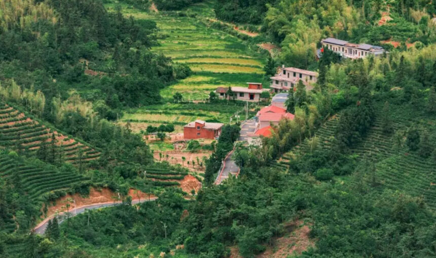 Best Advice for Exploring Meiling National Scenic Area