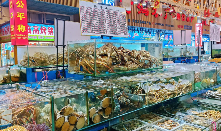 Fresh seafood display at a market in China, including crabs, lobsters, and shellfish.