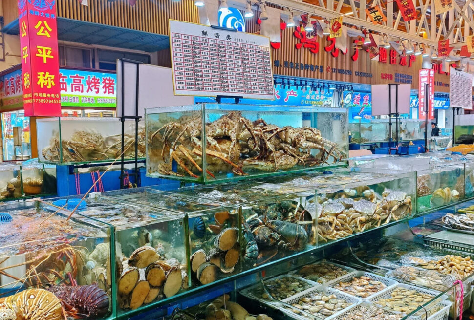 Fresh seafood display at a market in China, including crabs, lobsters, and shellfish.