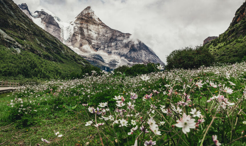 Scenic view of snow-capped mountains, green valley, and blooming flowers in a national park in China.