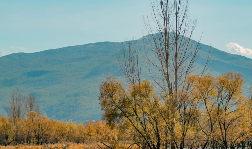 Yunnan Weather Guide for Travelers: When to Visit for the Best Experience