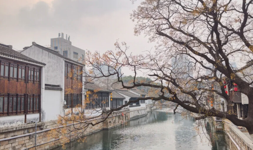 Qingguo Lane Walking Guide for Culture Lovers