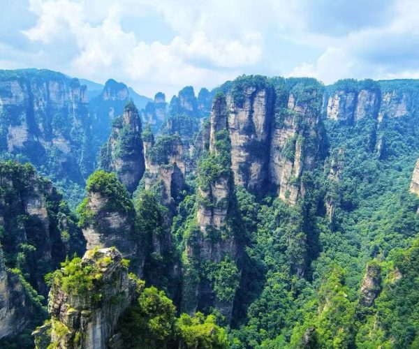 Towering sandstone pillars covered in green trees rise through a misty canyon, creating a dramatic forested landscape.