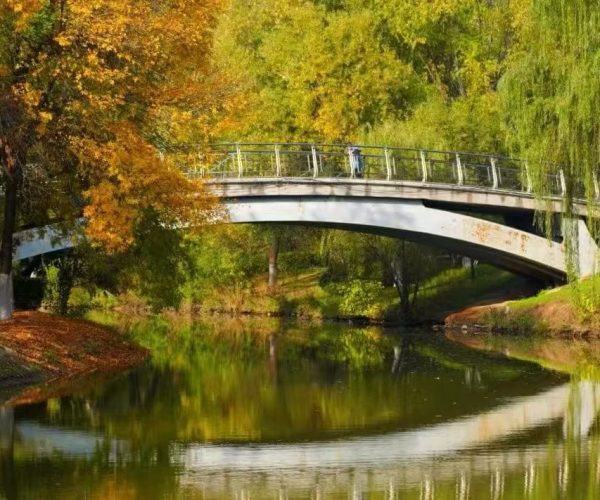Bridge spanning a calm river lined with autumn trees in yellows and greens, reflected in the water