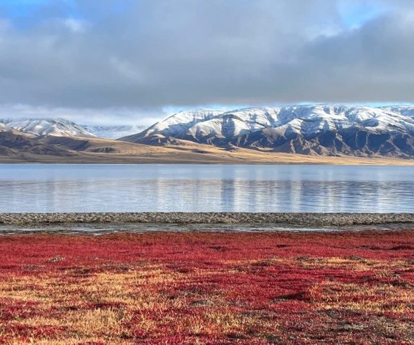 Sanjiangyuan National Park,Yushu,China tour Red tundra in the foreground fades into a calm reflective lake, with snow‑capped mountains under a blue, partly cloudy sky.